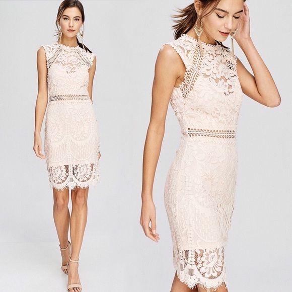 Blush Floral Cocktail Dress Pink Eyelet Lace Dress - Picture 2 of 7